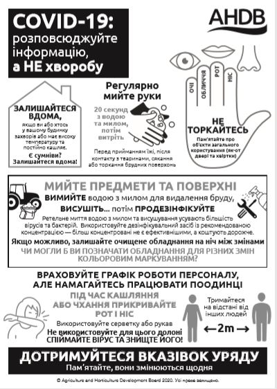 Coronavirus COVID-19 poster in Ukrainian